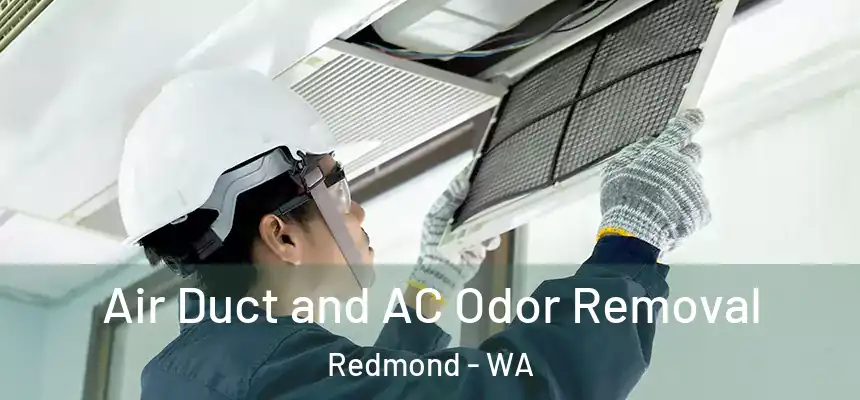 Air Duct and AC Odor Removal Redmond - WA