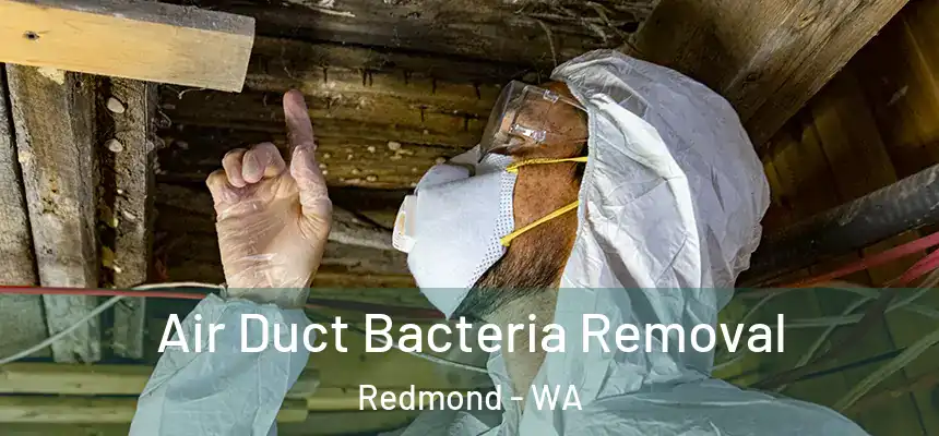 Air Duct Bacteria Removal Redmond - WA