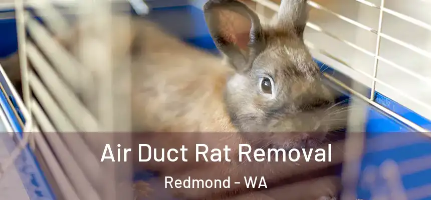 Air Duct Rat Removal Redmond - WA