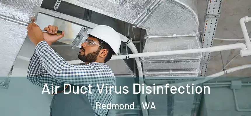 Air Duct Virus Disinfection Redmond - WA