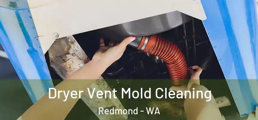 Dryer Vent Mold Cleaning Redmond - WA