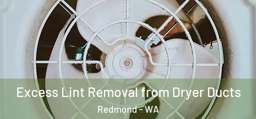 Excess Lint Removal from Dryer Ducts Redmond - WA