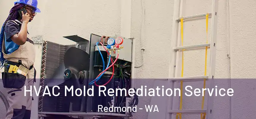 HVAC Mold Remediation Service Redmond - WA