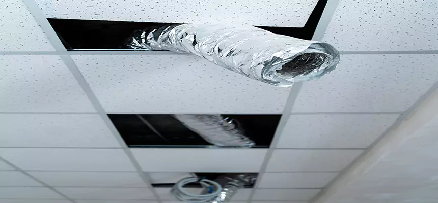 Affordable HVAC Sanitizing After Pest Removal in Redmond