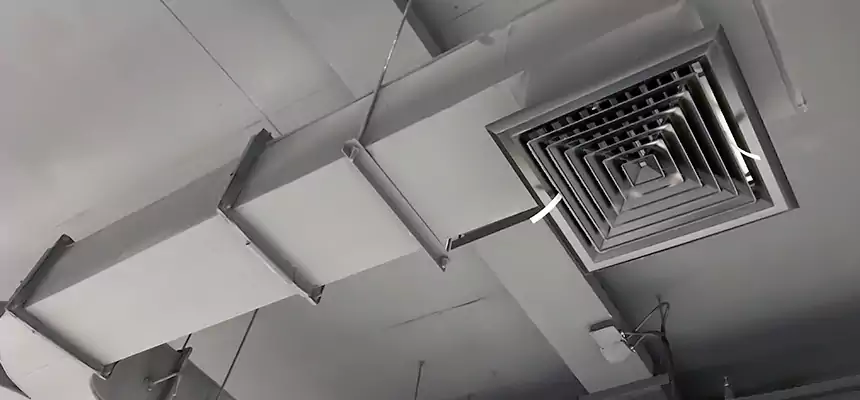 Restorative Allergy Relief Vent Cleaning – Coil, Blower & Housing Detail in Redmond