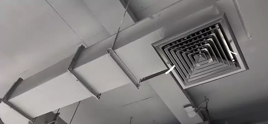 Our Pest Removal From Ducts Services in Redmond, WA