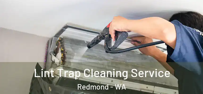 Lint Trap Cleaning Service Redmond - WA