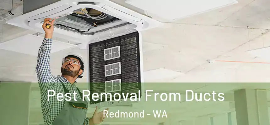  Pest Removal From Ducts Redmond - WA