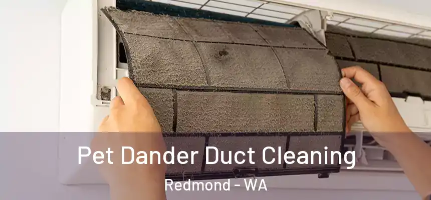 Pet Dander Duct Cleaning Redmond - WA