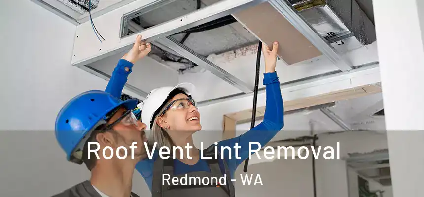 Roof Vent Lint Removal Redmond - WA