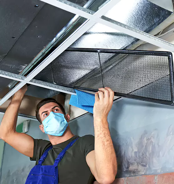 Professional Air Duct Pollen Cleaning in Redmond, WA