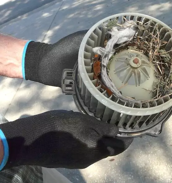 About Air Duct Rat Removal in Redmond, WA