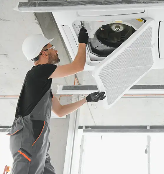 About Air Duct Rodent Removal in Redmond, WA