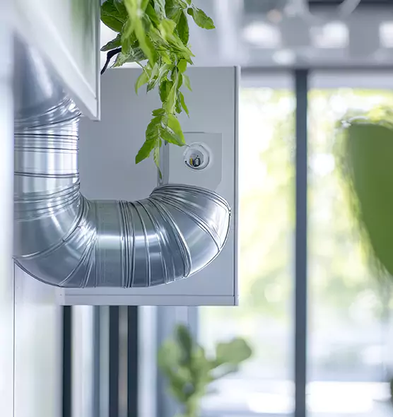 Professional Eco-Safe Dryer Vent Cleaning in Redmond, WA