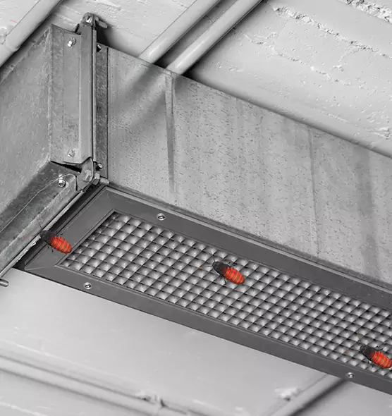 Affordable Insect Removal from Air Ducts in Redmond, WA