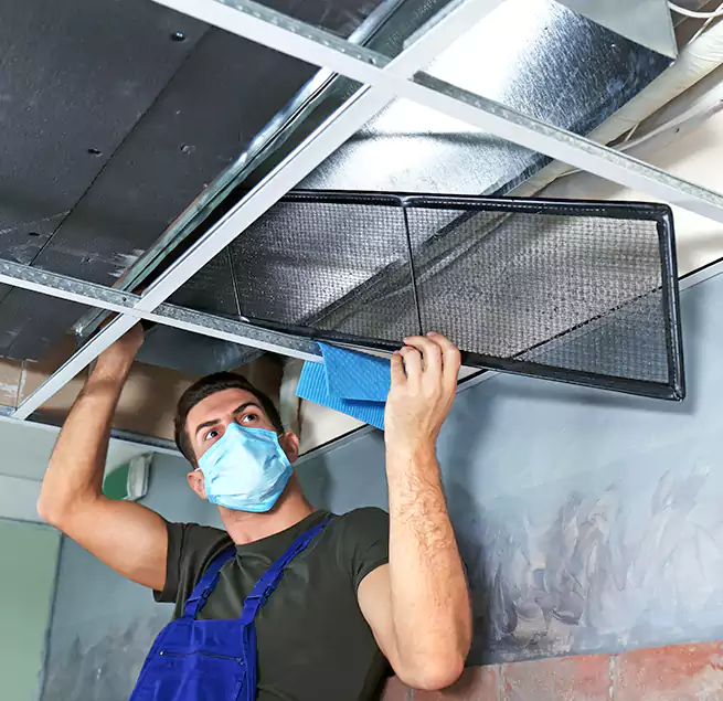 Why Homeowners Businesses Trust Us in Redmond, WA