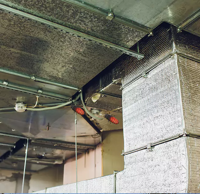 Why Homeowners & Businesses Trust Us Redmond, WA?