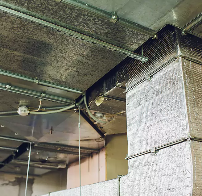 Why Homeowners & Businesses Trust Us in Redmond, WA?