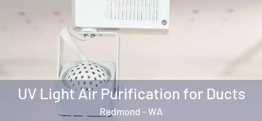  UV Light Air Purification for Ducts Redmond - WA